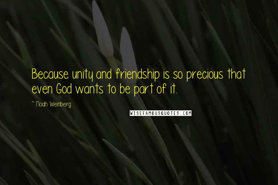 Noah Weinberg Quotes: Because unity and friendship is so precious that even God wants to be part of it.