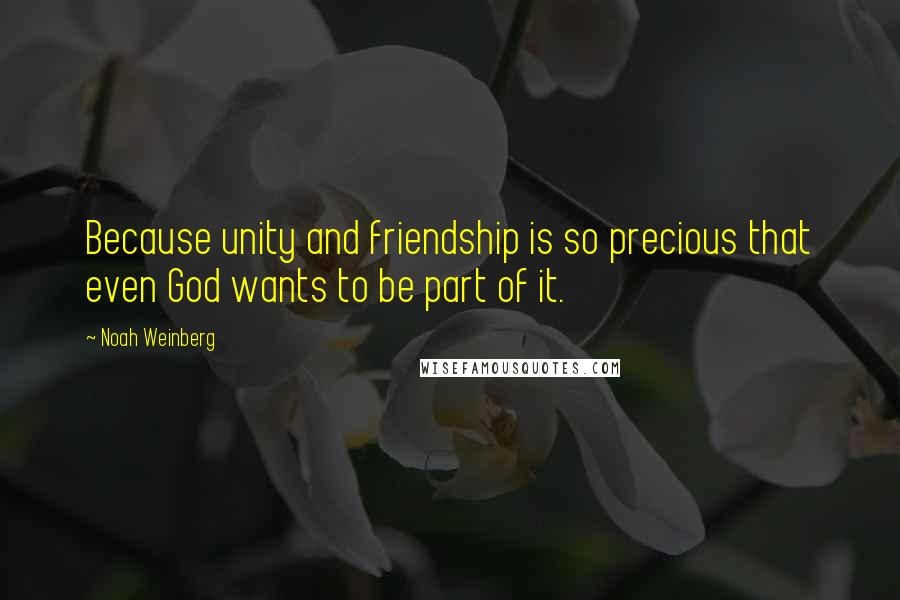 Noah Weinberg Quotes: Because unity and friendship is so precious that even God wants to be part of it.