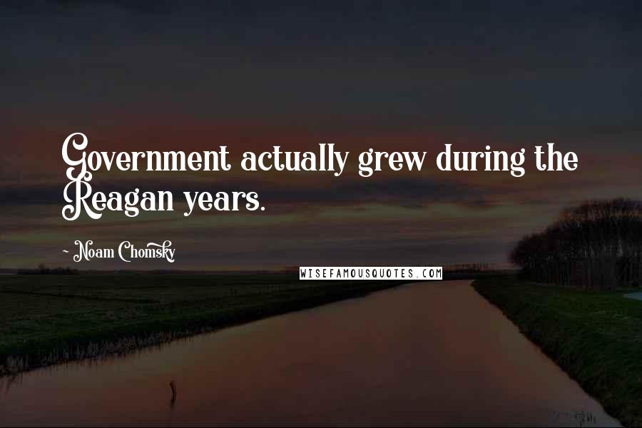 Noam Chomsky Quotes: Government actually grew during the Reagan years.