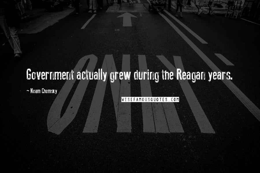 Noam Chomsky Quotes: Government actually grew during the Reagan years.