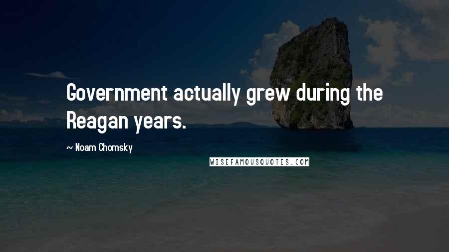 Noam Chomsky Quotes: Government actually grew during the Reagan years.