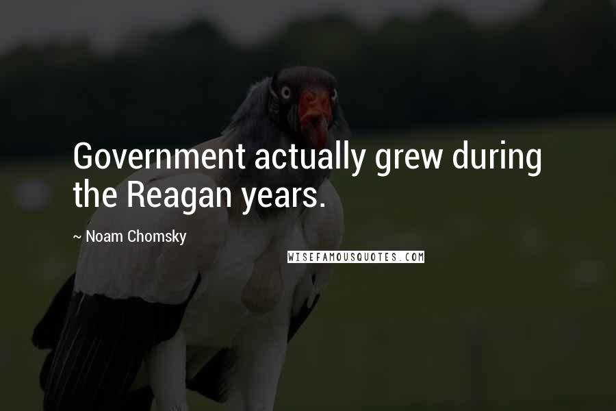 Noam Chomsky Quotes: Government actually grew during the Reagan years.