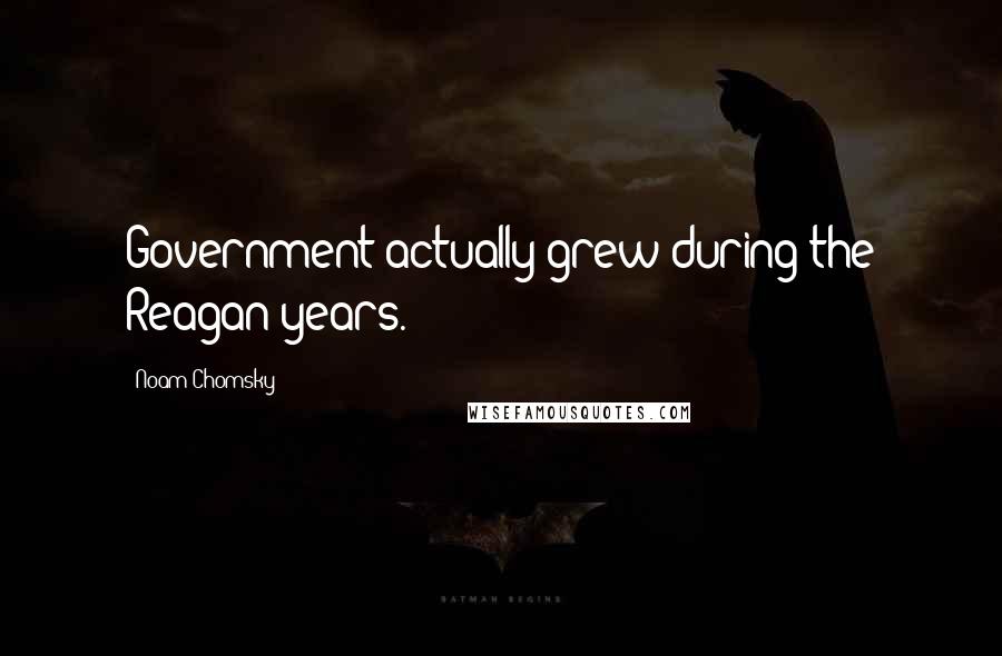 Noam Chomsky Quotes: Government actually grew during the Reagan years.