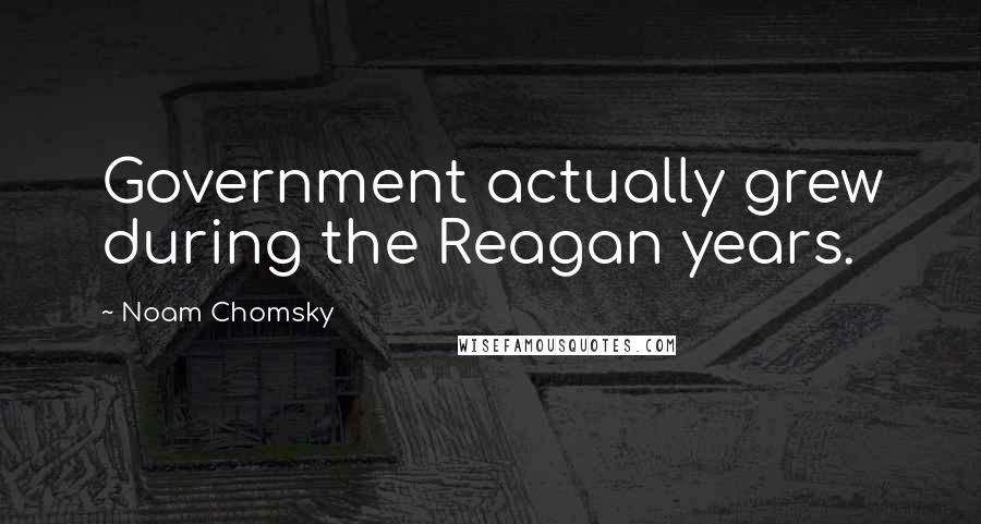 Noam Chomsky Quotes: Government actually grew during the Reagan years.