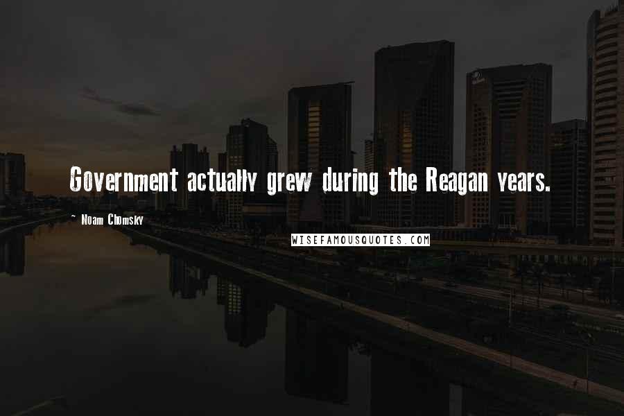 Noam Chomsky Quotes: Government actually grew during the Reagan years.