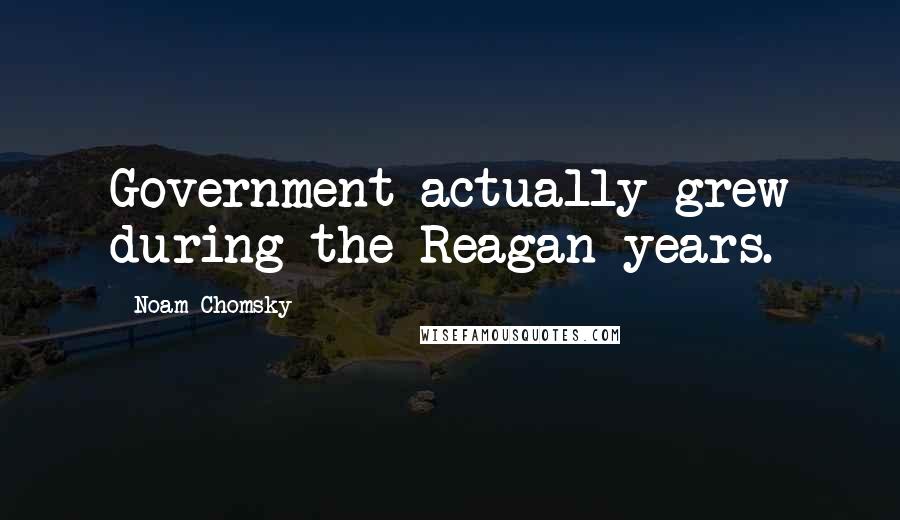 Noam Chomsky Quotes: Government actually grew during the Reagan years.