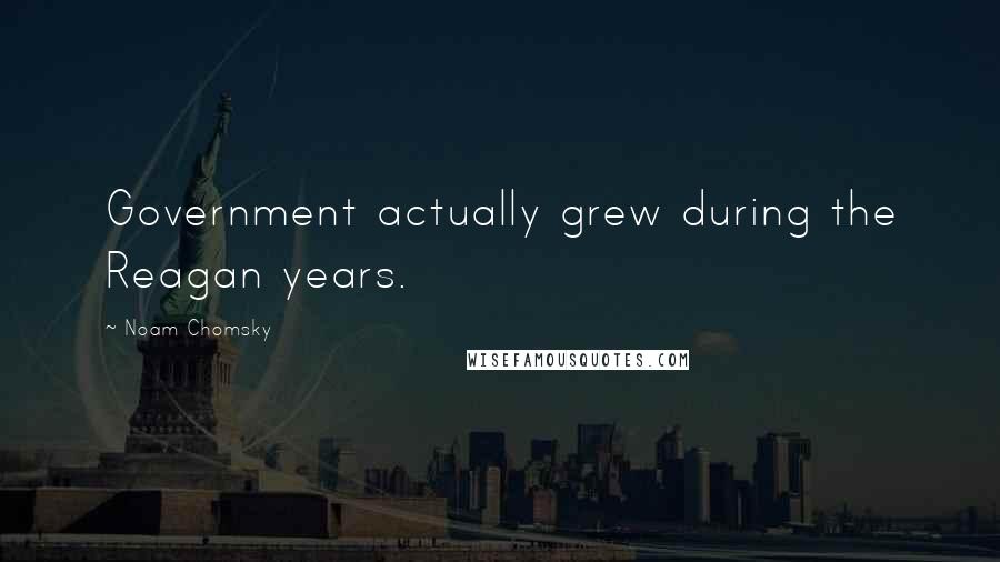 Noam Chomsky Quotes: Government actually grew during the Reagan years.