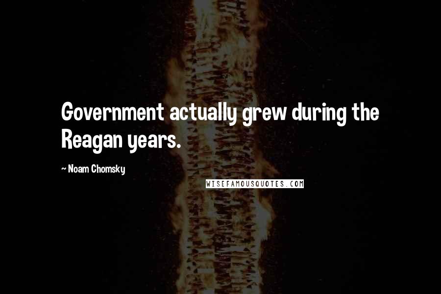 Noam Chomsky Quotes: Government actually grew during the Reagan years.