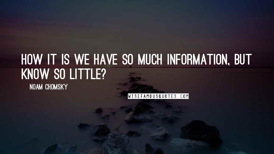 Noam Chomsky Quotes: How it is we have so much information, but know so little?
