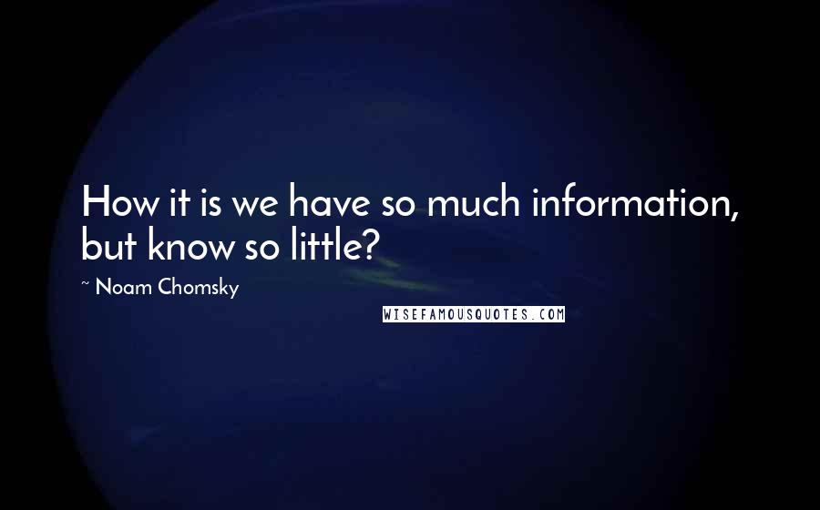 Noam Chomsky Quotes: How it is we have so much information, but know so little?
