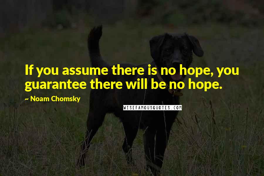 Noam Chomsky Quotes: If you assume there is no hope, you guarantee there will be no hope.