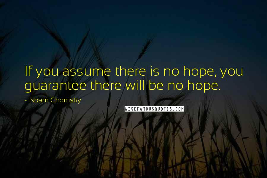 Noam Chomsky Quotes: If you assume there is no hope, you guarantee there will be no hope.