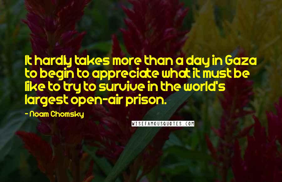 Noam Chomsky Quotes: It hardly takes more than a day in Gaza to begin to appreciate what it must be like to try to survive in the world's largest open-air prison.