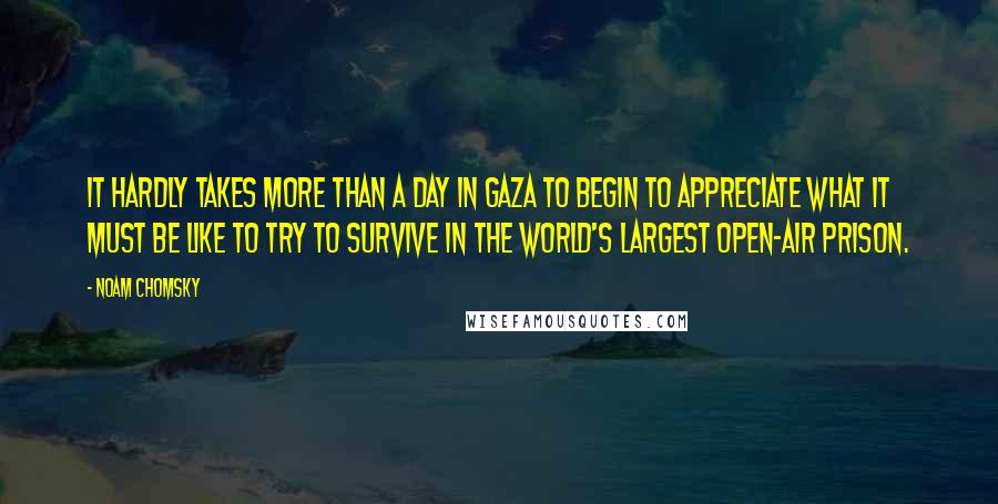 Noam Chomsky Quotes: It hardly takes more than a day in Gaza to begin to appreciate what it must be like to try to survive in the world's largest open-air prison.