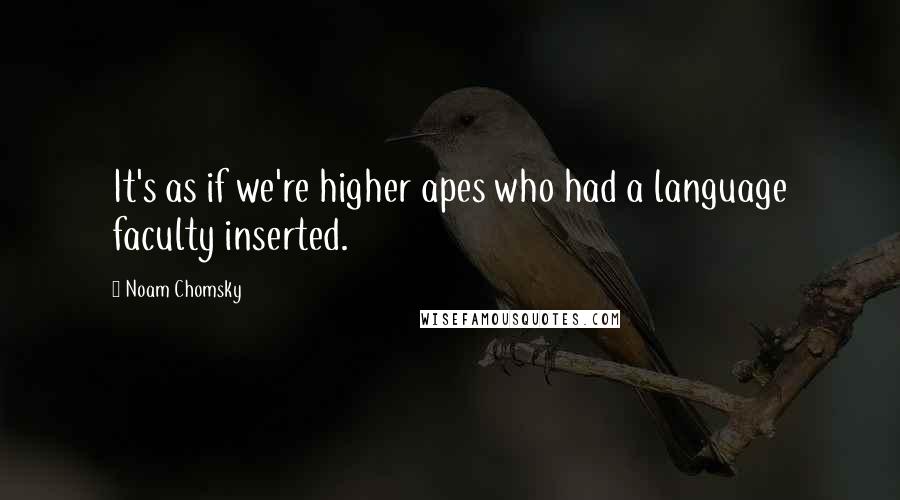 Noam Chomsky Quotes: It's as if we're higher apes who had a language faculty inserted.