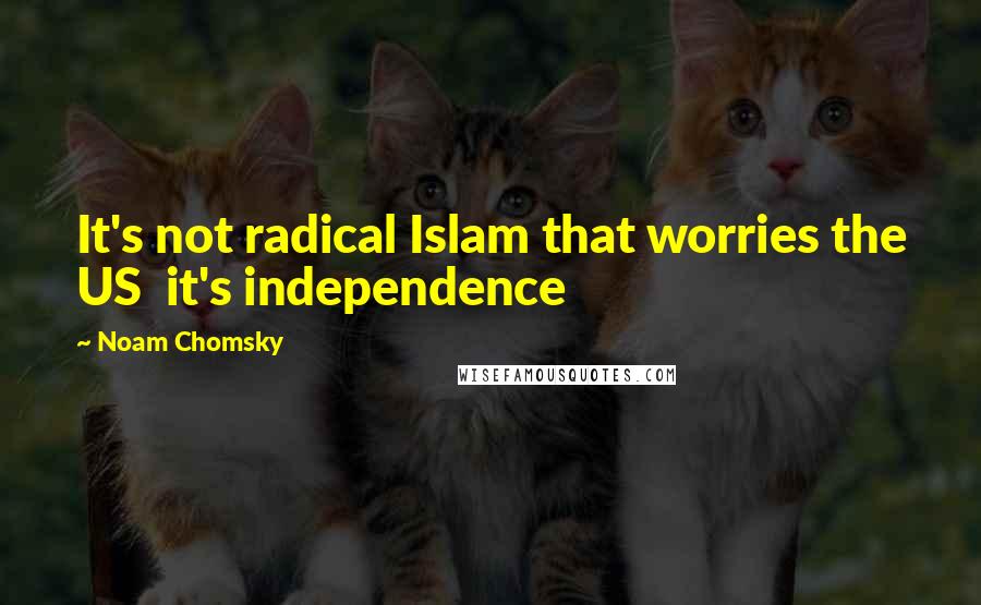 Noam Chomsky Quotes: It's not radical Islam that worries the US it's independence