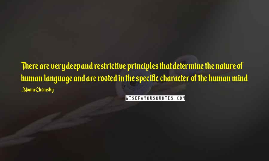 Noam Chomsky Quotes: There are very deep and restrictive principles that determine the nature of human language and are rooted in the specific character of the human mind