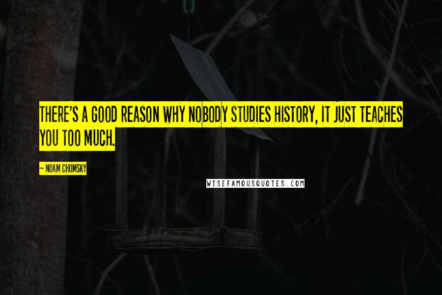 Noam Chomsky Quotes: There's a good reason why nobody studies history, it just teaches you too much.