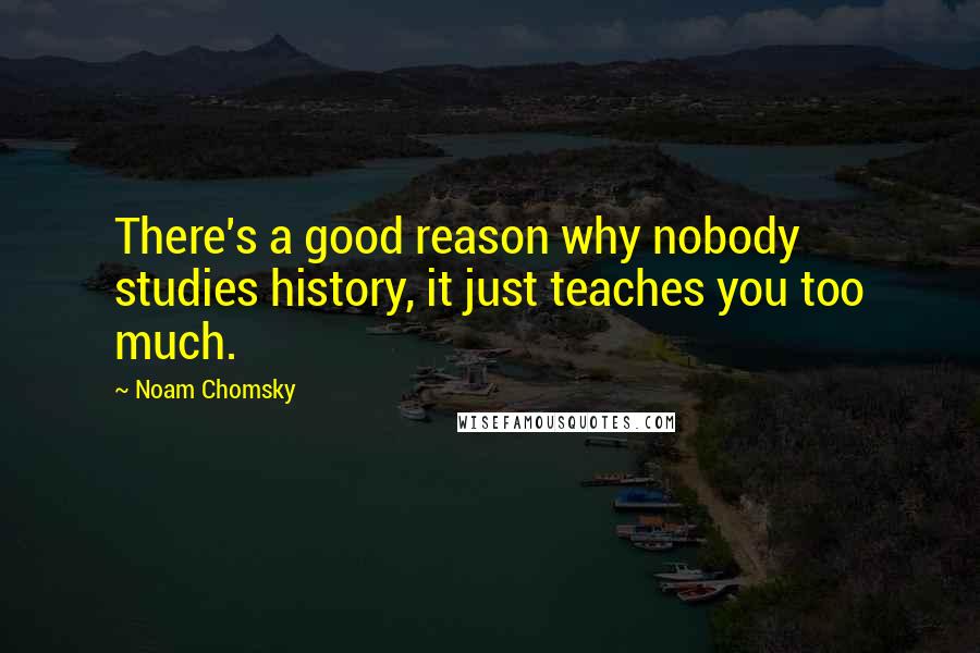 Noam Chomsky Quotes: There's a good reason why nobody studies history, it just teaches you too much.