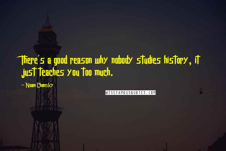 Noam Chomsky Quotes: There's a good reason why nobody studies history, it just teaches you too much.