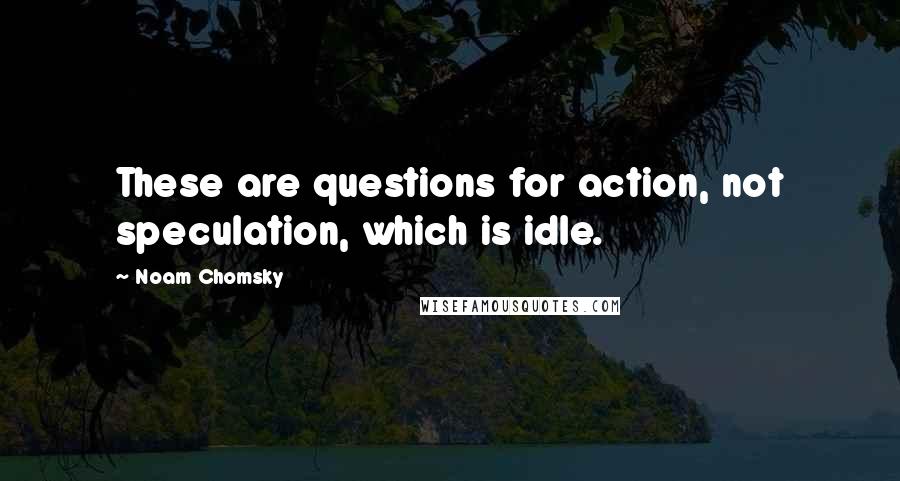 Noam Chomsky Quotes: These are questions for action, not speculation, which is idle.