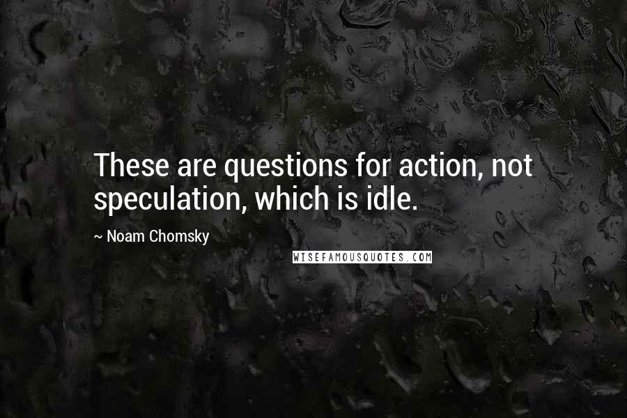 Noam Chomsky Quotes: These are questions for action, not speculation, which is idle.