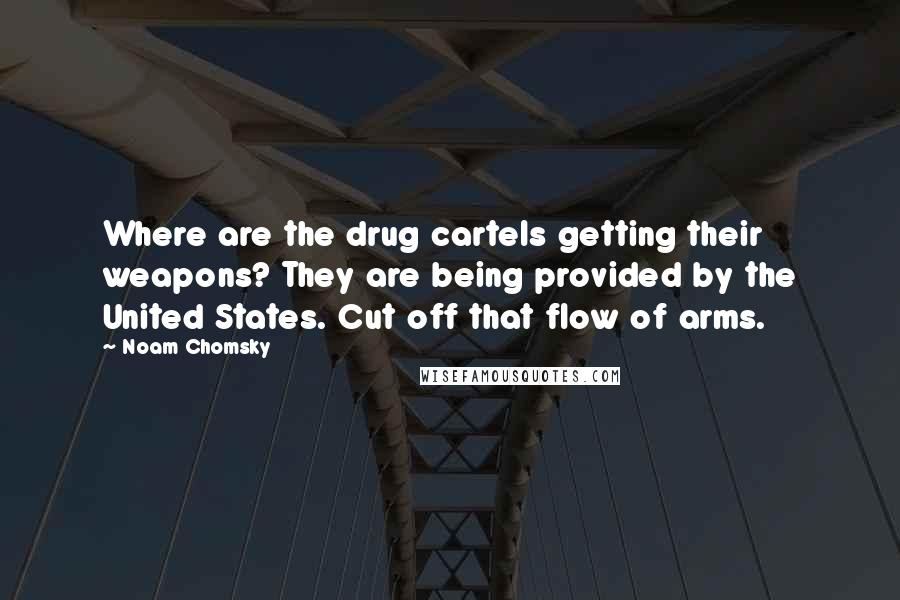 Noam Chomsky Quotes: Where are the drug cartels getting their weapons? They are being provided by the United States. Cut off that flow of arms.