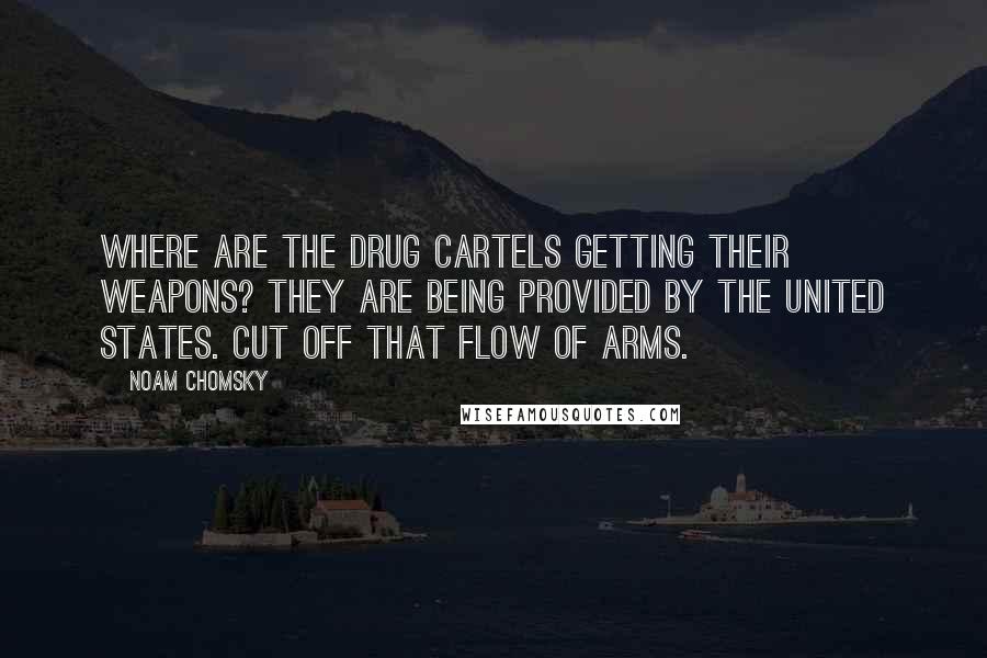 Noam Chomsky Quotes: Where are the drug cartels getting their weapons? They are being provided by the United States. Cut off that flow of arms.