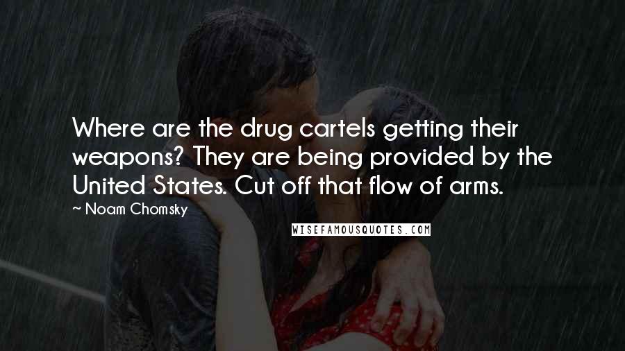 Noam Chomsky Quotes: Where are the drug cartels getting their weapons? They are being provided by the United States. Cut off that flow of arms.