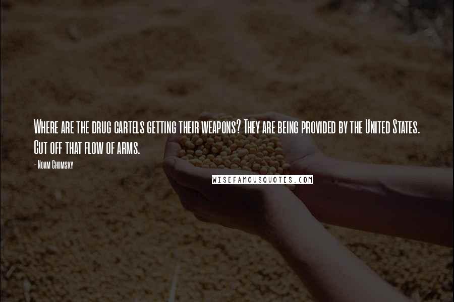 Noam Chomsky Quotes: Where are the drug cartels getting their weapons? They are being provided by the United States. Cut off that flow of arms.