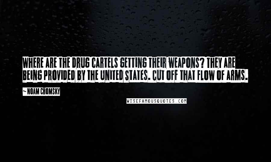 Noam Chomsky Quotes: Where are the drug cartels getting their weapons? They are being provided by the United States. Cut off that flow of arms.