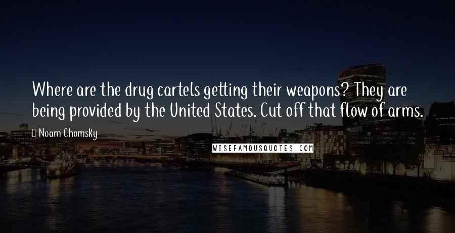 Noam Chomsky Quotes: Where are the drug cartels getting their weapons? They are being provided by the United States. Cut off that flow of arms.