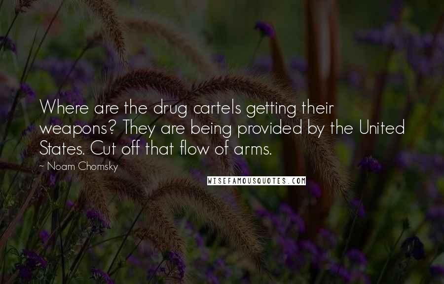 Noam Chomsky Quotes: Where are the drug cartels getting their weapons? They are being provided by the United States. Cut off that flow of arms.