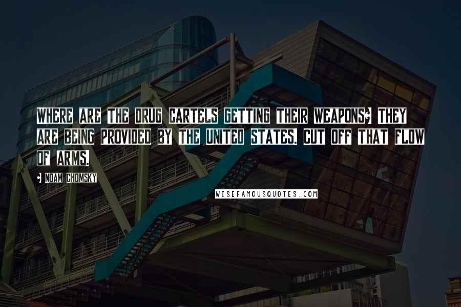 Noam Chomsky Quotes: Where are the drug cartels getting their weapons? They are being provided by the United States. Cut off that flow of arms.