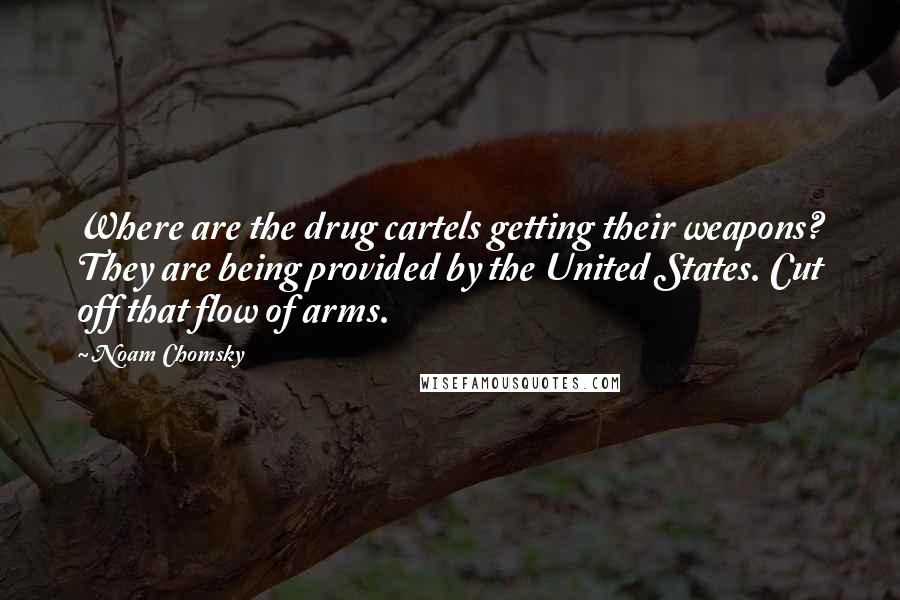 Noam Chomsky Quotes: Where are the drug cartels getting their weapons? They are being provided by the United States. Cut off that flow of arms.