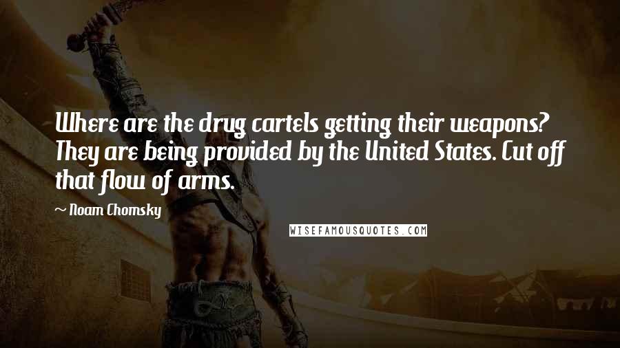 Noam Chomsky Quotes: Where are the drug cartels getting their weapons? They are being provided by the United States. Cut off that flow of arms.