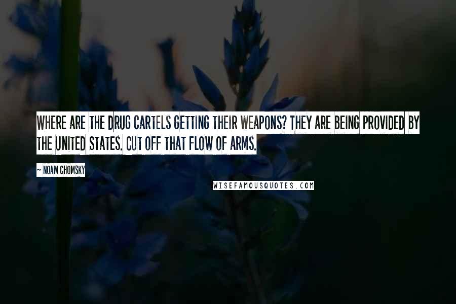 Noam Chomsky Quotes: Where are the drug cartels getting their weapons? They are being provided by the United States. Cut off that flow of arms.