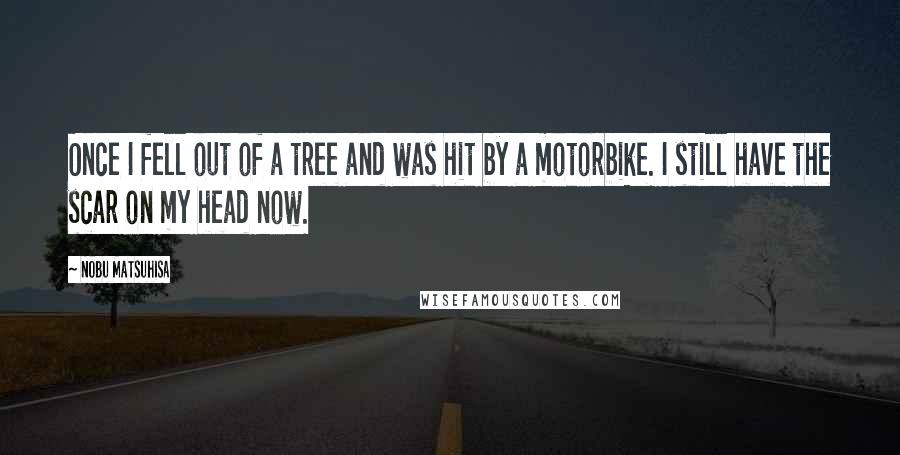 Nobu Matsuhisa Quotes: Once I fell out of a tree and was hit by a motorbike. I still have the scar on my head now.