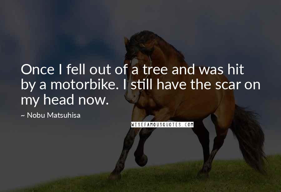 Nobu Matsuhisa Quotes: Once I fell out of a tree and was hit by a motorbike. I still have the scar on my head now.