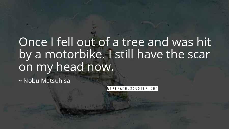 Nobu Matsuhisa Quotes: Once I fell out of a tree and was hit by a motorbike. I still have the scar on my head now.