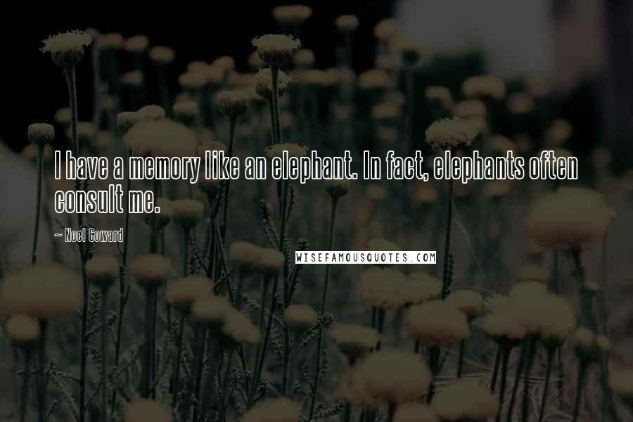 Noel Coward Quotes: I have a memory like an elephant. In fact, elephants often consult me.