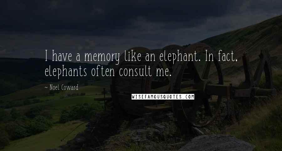 Noel Coward Quotes: I have a memory like an elephant. In fact, elephants often consult me.