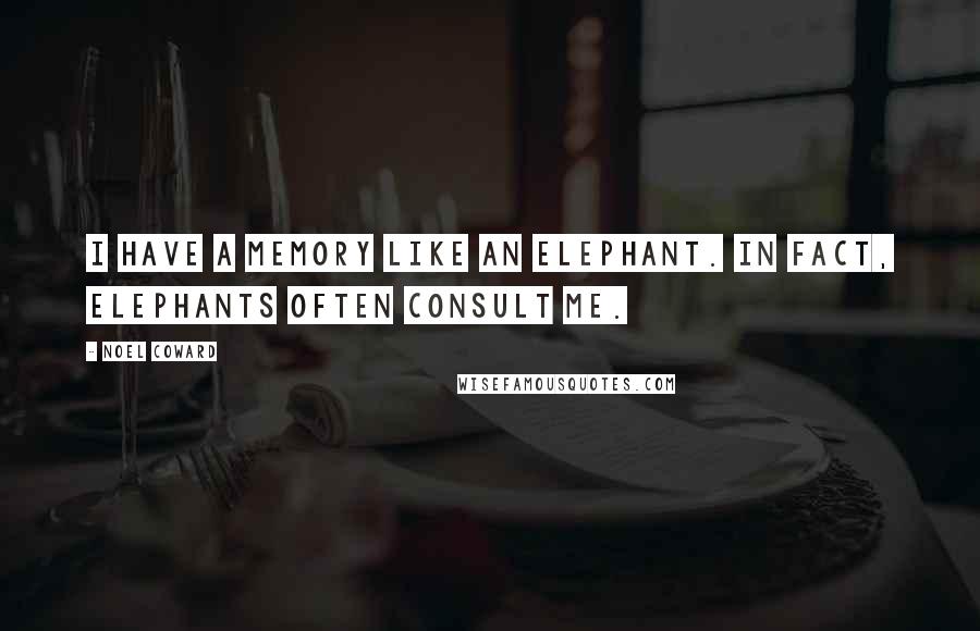 Noel Coward Quotes: I have a memory like an elephant. In fact, elephants often consult me.