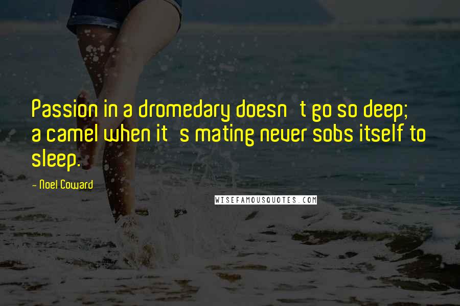 Noel Coward Quotes: Passion in a dromedary doesn't go so deep; a camel when it's mating never sobs itself to sleep.