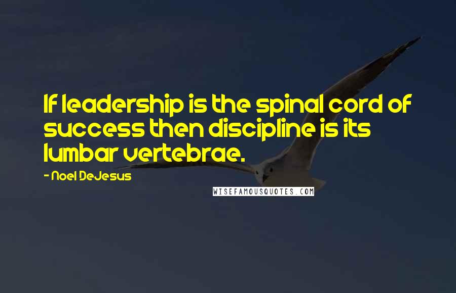 Noel DeJesus Quotes: If leadership is the spinal cord of success then discipline is its lumbar vertebrae.