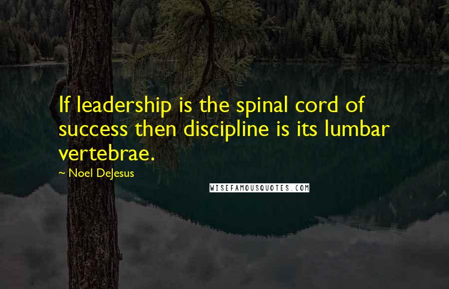 Noel DeJesus Quotes: If leadership is the spinal cord of success then discipline is its lumbar vertebrae.