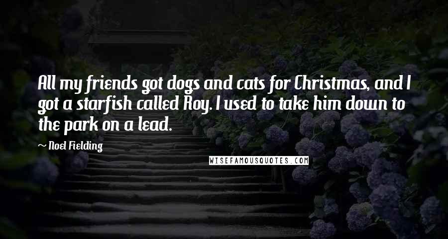 Noel Fielding Quotes: All my friends got dogs and cats for Christmas, and I got a starfish called Roy. I used to take him down to the park on a lead.