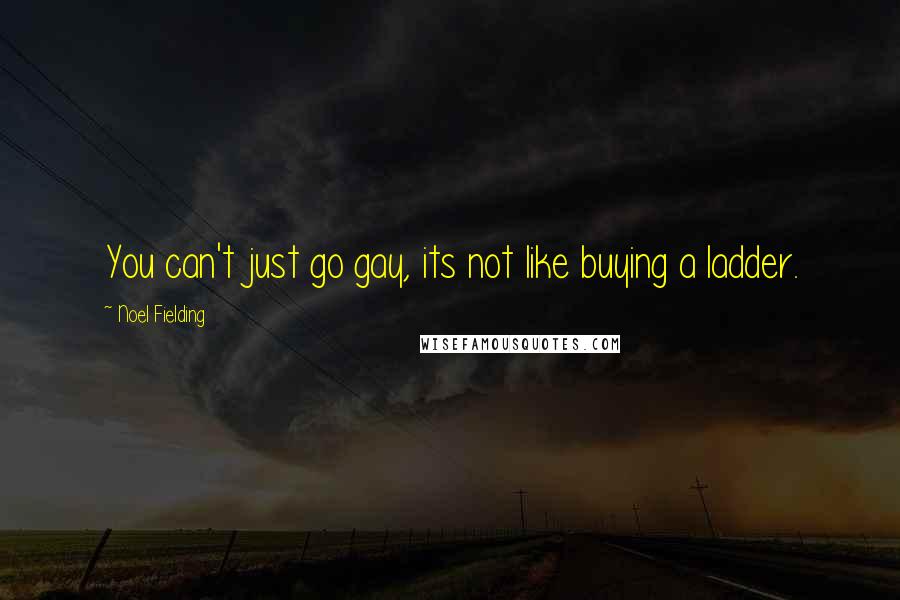 Noel Fielding Quotes: You can't just go gay, its not like buying a ladder.
