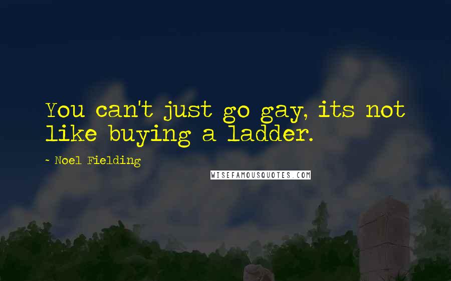 Noel Fielding Quotes: You can't just go gay, its not like buying a ladder.