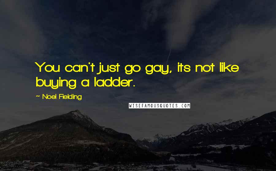 Noel Fielding Quotes: You can't just go gay, its not like buying a ladder.